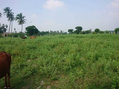 1000 sq ft NorthEast facing Plot for sale at Rs 4.00 lacs in Minjur railway station near dtcp plots in Minjur, Chennai