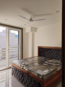 1150 sq ft 2 BHK 2T BuilderFloor for rent in DLF Phase 4 at Sector 27, Gurgaon by Agent City Homez Experts