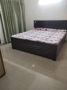 1425 sq ft 3 BHK 2T Apartment for rent in Paramount Floraville at Sector 137, Noida by Agent SATYA REAL ESTATE