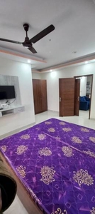 520 sq ft 1 BHK 1T BuilderFloor for rent in Project at Sushant Lok, Gurgaon by Agent Anwar