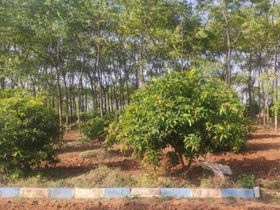 5445 sq ft East facing Plot for sale at Rs 30.25 lacs in YBR Farm Acres in Ibrahimpatnam, Hyderabad