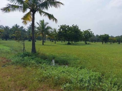 600 sq ft NorthEast facing Plot for sale at Rs 2.16 lacs in Redhills low budget farmland with each plot has mango trees in Thamaraipakkam, Chennai