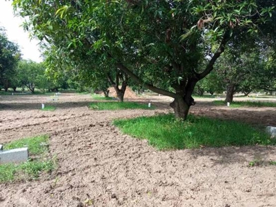 600 sq ft NorthEast facing Plot for sale at Rs 2.16 lacs in Redhills thamaraipakkam low budget Farm land Sale in Vengal, Chennai