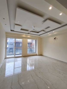 719 sq ft 1 BHK 1T Apartment for rent in Ansal Celebrity Suites at Sector 2 Gurgaon, Gurgaon by Agent jaglan