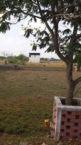 915 sq ft NorthEast facing Plot for sale at Rs 12.81 lacs in Ponneri thadaperumbakkam low cost plots near Vellammal school in Ponneri, Chennai