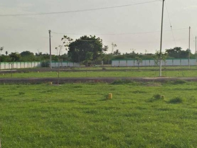 975 sq ft North facing Plot for sale at Rs 13.65 lacs in CMDA approved property for sale at Thiruninravur 0th floor in Thiruninravur, Chennai