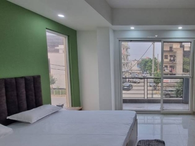 300 sq ft 1RK 1T Apartment for rent in Project at Sector 116, Noida by Agent seller