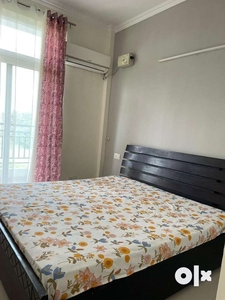 1 BHK Fully Furnished Flat For Rent In The Eminence