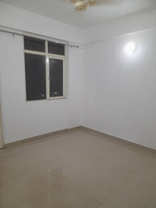 1467 sq ft 1 BHK 1T BuilderFloor for rent in DLF Phase 3 at Sector 24, Gurgaon by Agent sumit kumar lohia