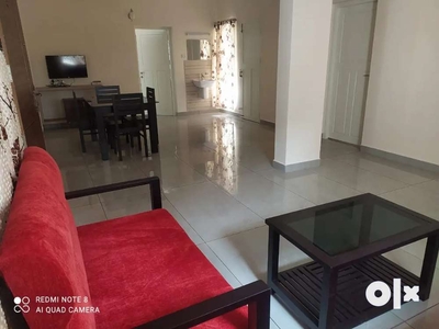 2bhk fully furnished flat near Lulu Mall Edapally