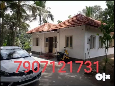 3 BEDROOM HOUSE FOR RENT @ Peyad Trivandrum