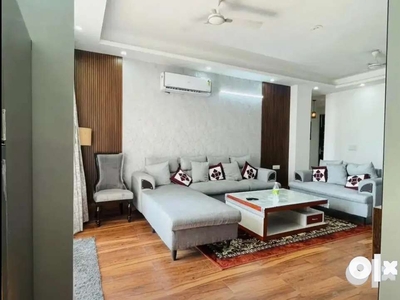 Fully furnished 2bhk Flat available in Grugram Semi Luxury society m