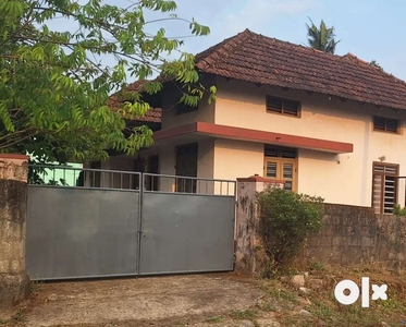 House for rent at angamaly