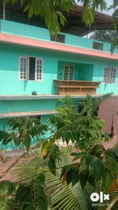 House for rent south vazhakkulam