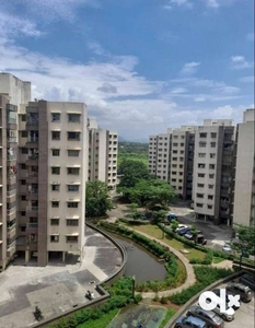 luxury 1 bhk Flats Available rent .