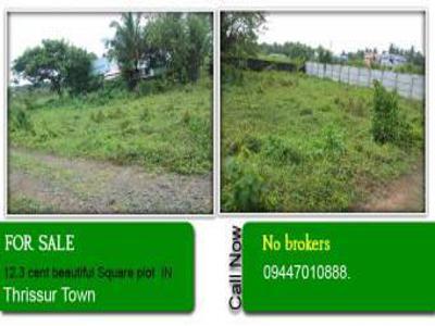 12.3 Cent PLOT FOR SALE IN THRIS For Sale India