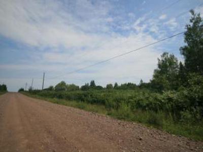2ac land for sale at BHEL proj. For Sale India