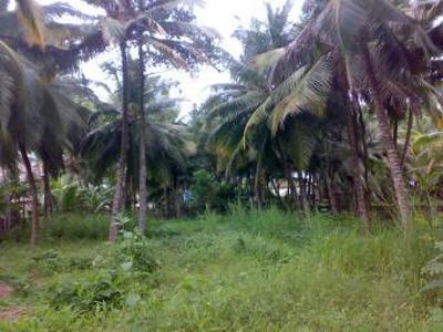 land at kowdiar For Sale India