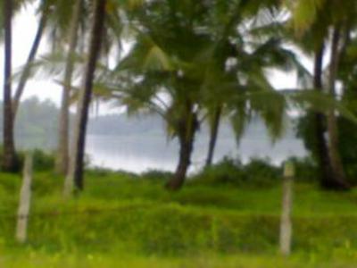 Resort Land facing river with be For Sale India