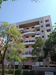 1000 sq ft 2 BHK 2T East facing Apartment for sale at Rs 100.00 lacs in Magarpatta Annex in Hadapsar, Pune