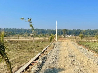 1400 Sq.Ft. Plot in Bhauwala Dehradun