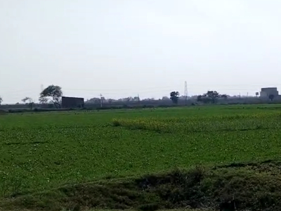 1500 Sq.Ft. Plot in Beldarichak Patna