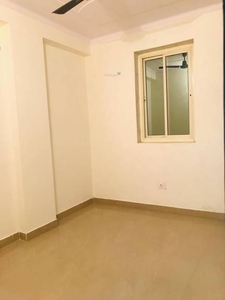 550 sq ft 2 BHK 1T BuilderFloor for rent in Project at New Ashok Nagar, Delhi by Agent Anil Vajpayee Properties