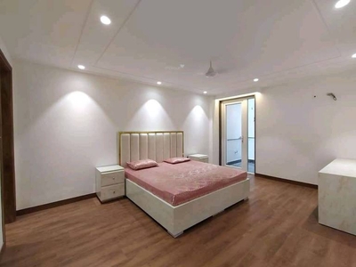 950 sq ft 2 BHK 2T Apartment for rent in Project at Freedom Fighters Enclave, Delhi by Agent Signature Real Estate