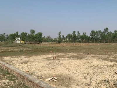 Plot For Sale In Panampilly Nagar Location