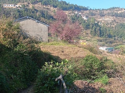 290 Sq.Yd. Plot in Dhanachuli Nainital