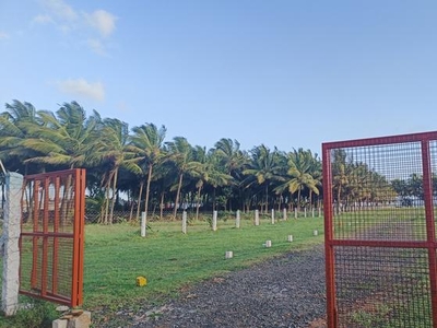 Vennila Garden