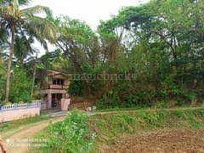 13 Cent Residential Plot for Sale in Puthur, Palakkad
