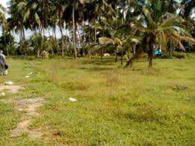 35 Cent Residential Plot for Sale in Kozhinjampara, Palakkad