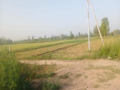 Farm Land for Sale in Kalol, Gandhinagar