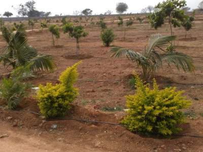 Plot of land Hyderabad For Sale India