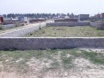 450 sq ft West facing Completed property Plot for sale at Rs 5.50 lacs in Green velly in Sector 144, Noida