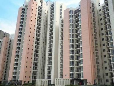928 sq ft 2 BHK 2T Apartment for sale at Rs 30.00 lacs in Jaypee Aman 3th floor in Sector 151, Noida