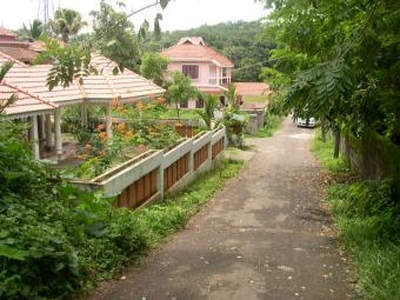 Good Residential Plolt in Kochi For Sale India