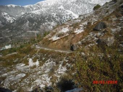 Palampur � 5.3 Kanal � Comm Land For Sale India