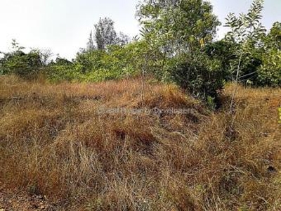 Plot of land Near Kannur AirPort For Sale India