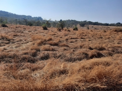 Plot of land Ratnagiri For Sale India
