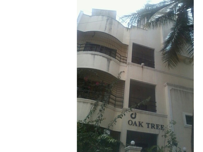 Reputed Builder Oak Tree in Frazer Town, Bangalore