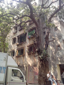 Reputed Builder Om Sai Siddhi Apartment in Thane West, Mumbai