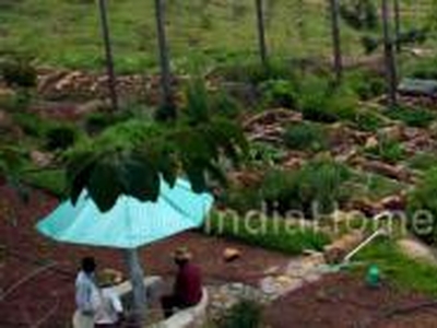 Running RESORT near OOTY For Sale India