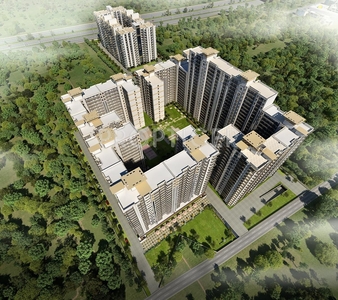 The Antriksh Forest in Sector 77, Noida