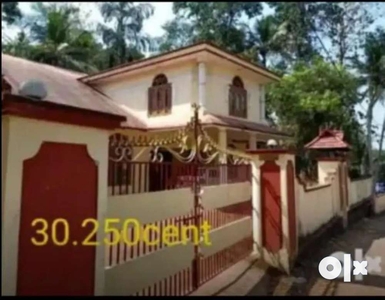 NearChingaVanamRaliwayStationat150mtrHousePanchikadKottayam