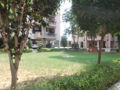 1040 sq ft 2 BHK 2T West facing Completed property Apartment for sale at Rs 70.00 lacs in CGHS Hewo Apartment 3th floor in Sector 31, Gurgaon