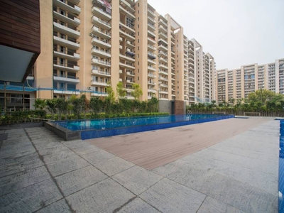 1578 sq ft 2 BHK 2T Apartment for rent in Tulip Violet A3 Tower at Sector 69, Gurgaon by Agent Room N Roof