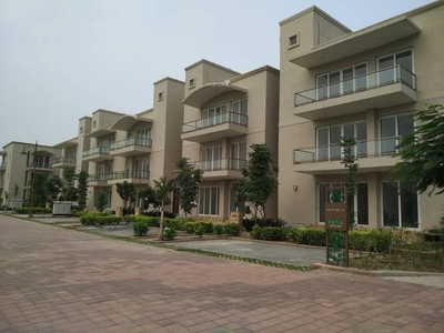3440 sq ft 3 BHK Apartment for sale at Rs 2.40 crore in BPTP Amstoria Country Floor in Sector 102, Gurgaon