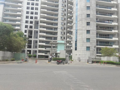 4000 sq ft 4 BHK 5T Apartment for rent in DLF Pinnacle at Sector 43, Gurgaon by Agent NA